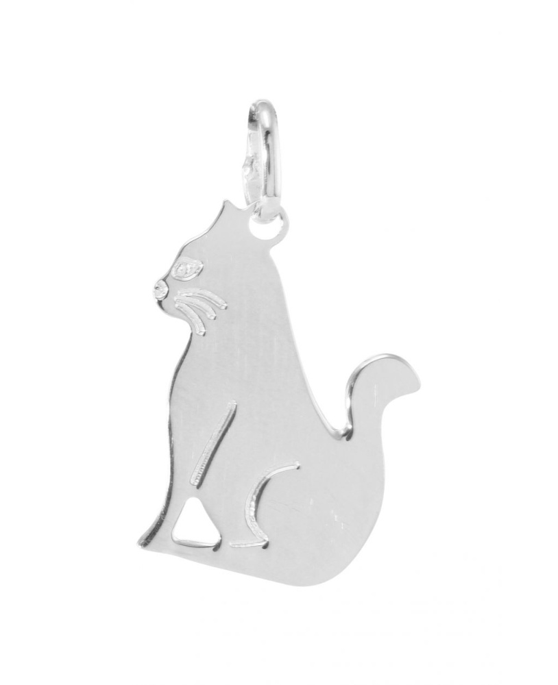 Boucles D’oreilles Enfant – Chat En Argent 925, étui Inclus, Sans Nickel