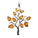 Ambre / Argent 925