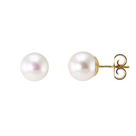  Boucles d oreilles Or Jaune 750 Perles Akoya 7mm Diamètre des perles : 7mm Système fermeture : poussettes Perles Grade AA...