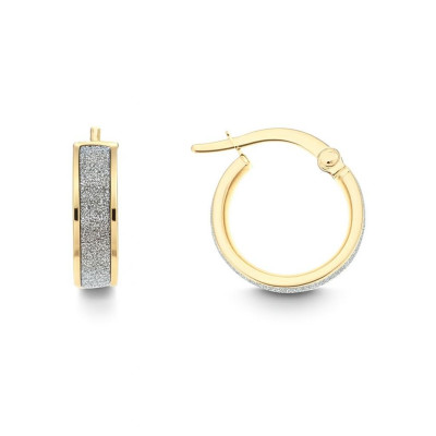 Boucles d'oreilles Créoles 3.8mm x 13mm 2 Ors 375