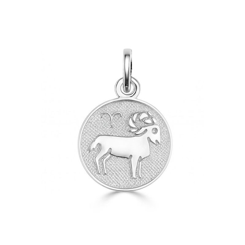 Pendentif Médaillon Zodiaque En Argent 925 - Double Face Portable | Neuf Avec étiquette