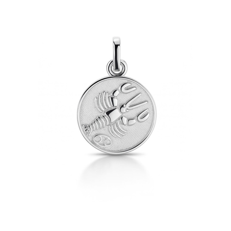 Pendentif Et Médaille Zodiac Cancer - Acier Chromé - Argenté - Breloque