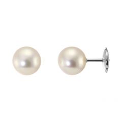 Boucles d'oreilles  Or Blanc 750 Perles Akoya 8mm