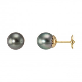 Boucles d&#39;oreilles Or Jaune et Perles de Tahiti 8-8.5mm. Diamètre des perles : 8 à 8.5mm. Qualité des perles : AA. Sys...