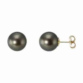  Boucles d oreilles Or Jaune Perles Tahiti Perles rondes 9.5 à 10mm diamètre (Qualité AA) 