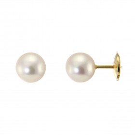  Boucles d oreilles Or Jaune 750 Perles Akoya 7mm Diamètre des perles : 7mm Système fermeture : Fermoir sécurisé ALPA Perl...