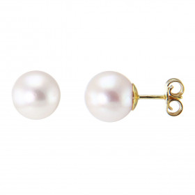  Boucles d oreilles Or Jaune 750 Perles Akoya Diamètre des perles : 8 à 8.5mm Système fermeture : poussettes Perles Grade ...