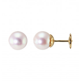 Boucles d&#39;oreilles en Or jaune 750 et perles Akoya 8mm. Diamètre des perles : 8mm. Système de fermeture sécurisé ALPA....
