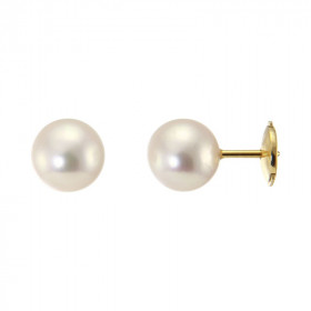 Boucles d&#39;oreilles en Or jaune 750 et perles blanches Akoya. Diamètre des perles : 8 à 8,5mm. Système de fermeture séc...
