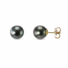 Boucles d&#39;oreilles en Or jaune 750 et Perles de Tahiti 8.5-9mm. Diamètre des perles : 8.5 à 9mm. Qualité des perles : ...