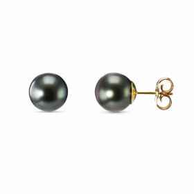 Boucles d'oreilles Or jaune 750 Perles de Tahiti 8.5-9mm