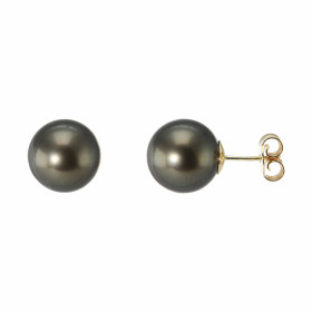 Boucles d&#39;oreilles Or Jaune et Perles de Tahiti. Perles rondes de 9.5 à 10mm de diamètre (Qualité AA)