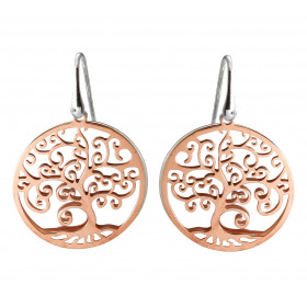 Boucles d'oreilles pendantes en argent rhodié composées d'une plaque en argent satiné de 30mm de diamètre et d'un arbre de...