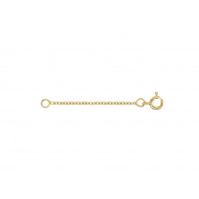  Chaîne d extension 5cm or jaune 750 Permet rallonger un bracelet, une chaine ou un collier Maille forcat 1.2mm large Ferm...