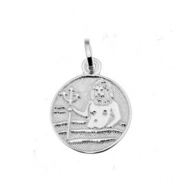 Pendentif Zodiaque Verseau en Argent 925. Diamètre : 12mm. Dimensions du pendentif : 18x12mm. Effet 2 tons : le fond du pe...